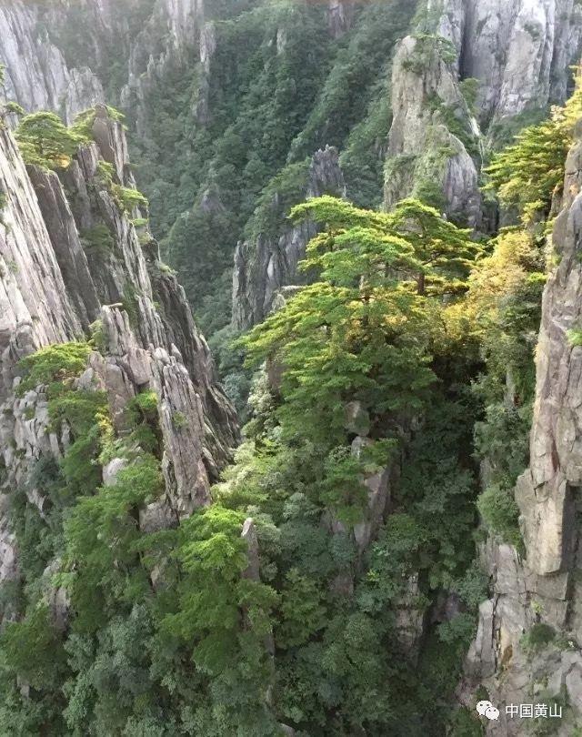 医疗器械钛合金在人体保质期？游戏画面