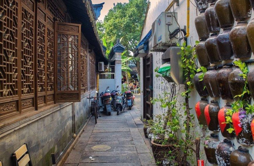 董宇辉:逆境中的坚韧与温情,未来之路必将更加辉煌